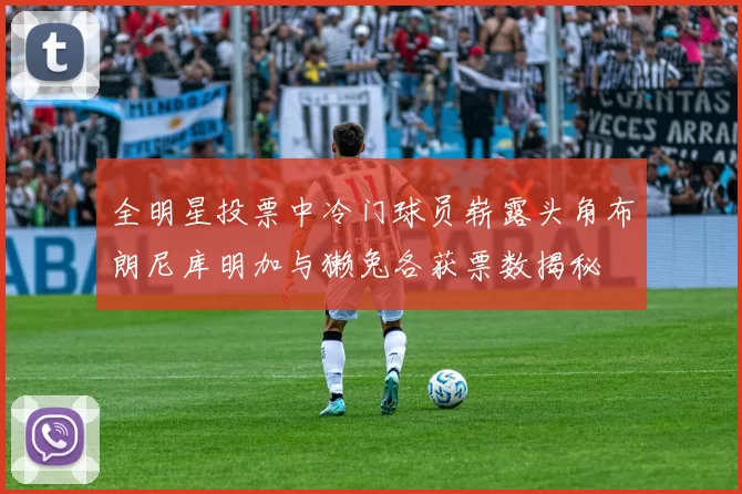 全明星投票中冷门球员崭露头角布朗尼库明加与獭兔各获票数揭秘